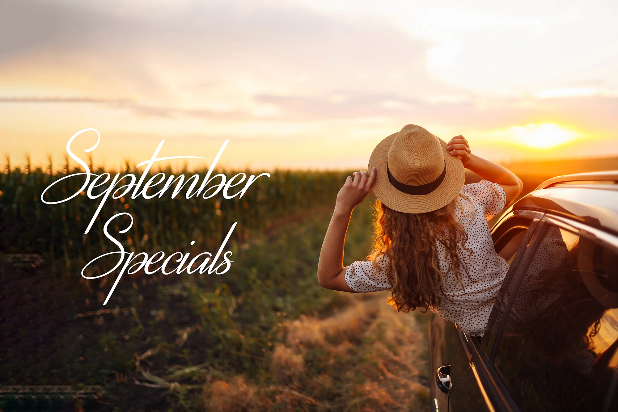 September 2024 Specials at BBB. Book today!